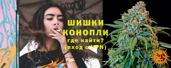 дживик Зеленокумск