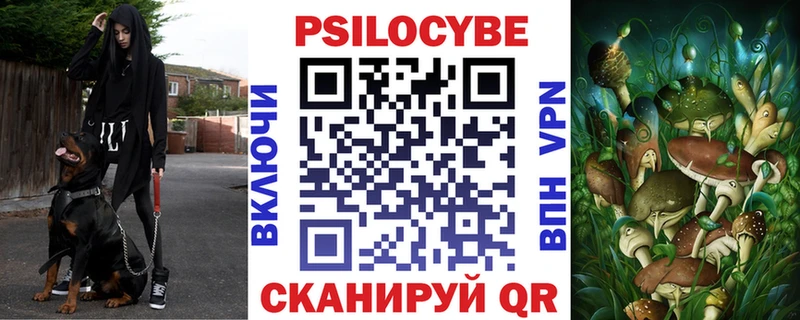 Галлюциногенные грибы Psilocybine cubensis  KRAKEN как войти  Светогорск  как найти закладки 