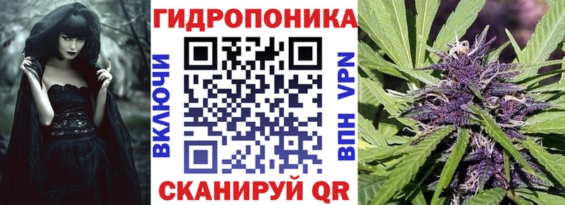 kraken вход  Светогорск  Канабис Ganja 